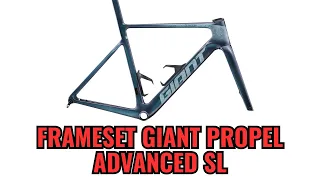 Cuadro - Bicicleta Giant Porpel Advanced SL Frameset