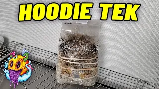 All In One Mushroom Grow Bag Fruiting Conditions "HOODIE TEK" - S2 EP4