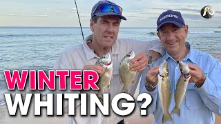 Beach Fishing SYDNEY: Soft Plastics + Bait + Worms = Multiple Species!