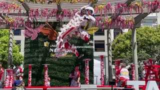 Leung's White Crane High Pole Lion Dance - Taiwan Culture Festival San Francisco 2024 [4K]