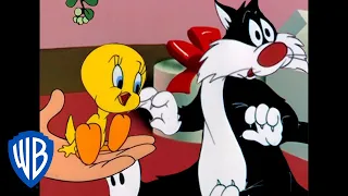 Looney Tunes | Sylvester, Kiss the Little Birdy! | Classic Cartoon | WB Kids