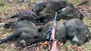 Two actionfilled stands on driven hunt in Sweden  in December 2017