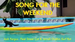 'Song For The Weekend' #JOSHFERGUS Feat Street Cat & Jarrah Orphin Surf Rat