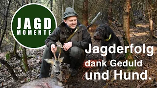 Jagderfolg dank Geduld und Hund | JagdMomente mit Felix | Webserie #7