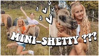 EIN MINI SHETTY FÜR BFF & MICH ?| MaVie Noelle Vlog