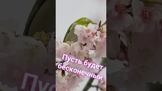 Для моих друзей 😀😀😀Дарю позитив на весь день 😆😘😘💋♥️