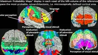 ASNR Special Session -- How Does the Brain Think (2)?