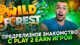 Полное руководство по эйрдропу и баунти кампании Wild Forest