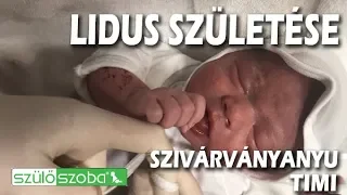 A VIGASZBABA és szülei SZÜLETÉSE -SzivárványAnyu 8 | KandászMamik | 32