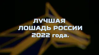 ЛУЧШАЯ ЛОШАДЬ РОССИИ 2022 ГОДА. Церемония награждения. 17 декабря 2022 года