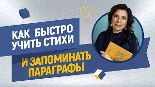 Почему зубрежка не эффективна. Как перестать делать уроки с детьми