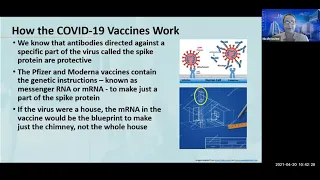 Oh, Baby! Covid-19 Vaccine Q&A: Pregnancy, breastfeeding and fertility [Free webinar]