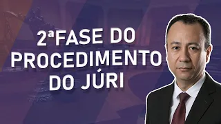 2° Fase do procedimento do júri - Judicium Causae