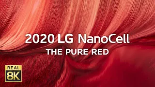 2020 LG NanoCell l THE PURE RED HDR