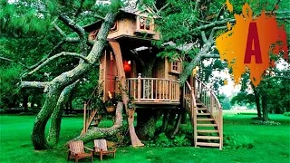 10 Most Amazing Treehouses In The World