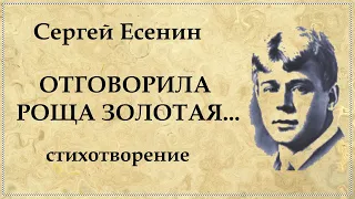 Отговорила роща золотая... Стихотворение Есенина