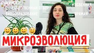 Современные представления об эволюции. Видообразование | Биология ЦТ, ЕГЭ