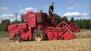 Massey Ferguson 31 i kornfältet