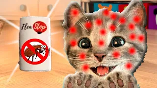 Cute Kitten Little Cat Adventure - Play Fun Pet Care - Preschool Educational Games #323