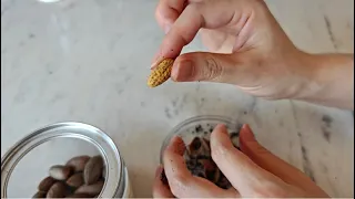 How to eat Chinese Torreya grandis nuts 怎么开香榧子？