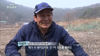 [32회] 땅속에서 돼지를 키운다? 돼지감자로 연 2억 원 '경북 김천시 이상우 부자농부'