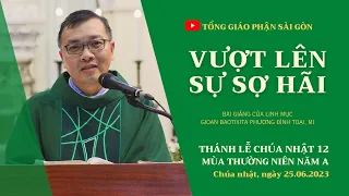 Vượt lên sự sợ hãi - Lm GB Phương Đình Toại, MI | CN 12 TN năm A