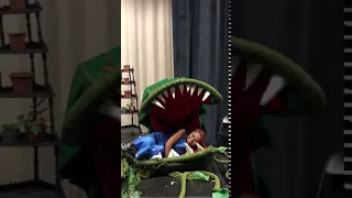 Little Shop of Horrors- Audrey II eating Urchin