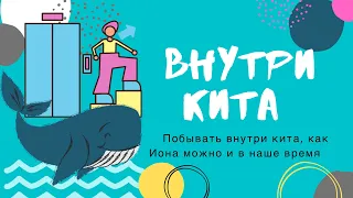 Внутри кита. История Ионы в наши дни