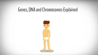 Genes, DNA and Chromosomes explained