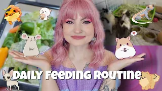 Feeding ALL of my ANIMALS🐶🐱🐭🦎🦴