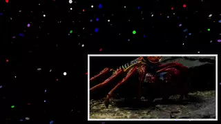 Crab vs Eel vs Octopus _ Blue Planet II (1)