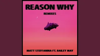 Reason Why (Zibrog Remix)