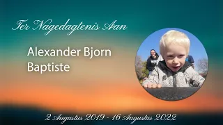 Roudiens van Alexander Bjorn Baptiste