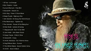 FOLK BLUES ROCK  ZZ TOP ERIC CLAPTON LYNYRD SKYNYRD AEROSMITHB B BKINGDEEP PURPLEJIMI HENDRIX