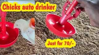 New Chicks auto drinker for poultry,Day -1 auto drinker