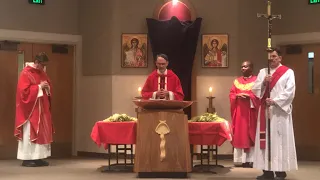 Annunciation - Palm Sunday of the Lords Passion - Mass with Msgr.