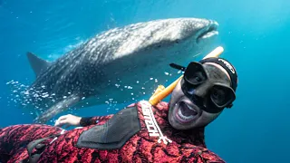 What it Takes to DIVE with GIANTS on Ningaloo Reef!!!