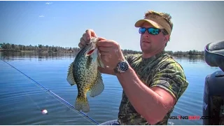 Crappie Location vs. Weather and Water Temperature