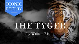 The Tyger by William Blake - Visual Poem
