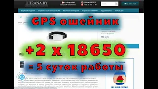 GPS ошейник козам с аккумулятором на 5 суток!