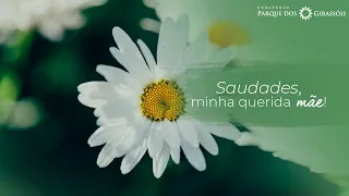 Mensagem de Saudades para Mãe falecida