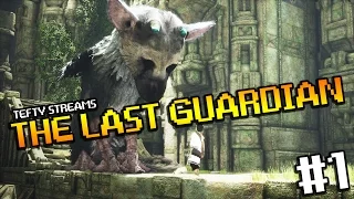 Lets Play THE LAST GUARDIAN - Episode 1 [PS4 PRO]