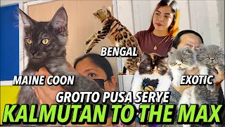 IBA'T IBANG BREED NG PUSA NAGLABASAN | GROTTO PUSA SERYE | MAY 05, 2024