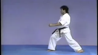 Noordelijke kata's - Karate Kyokushin - Sokugi Taikyoku Ichi,Ni & San