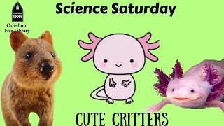 Science Saturday: Cute Critters