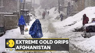 WION Climate Tracker: Extreme cold plunges Afghanistan's humanitarian crisis to a new low