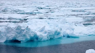 Arctic: Fair Isle, Jan Mayen, Svalbard