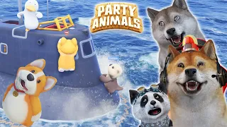 TRIO KOCAK BERANTEM  DI ATAS LAUT!! - Party Animals