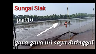 Membelat ikan di sungai siak