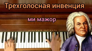 И.С.Бах Трехголосная инвенция ми мажор